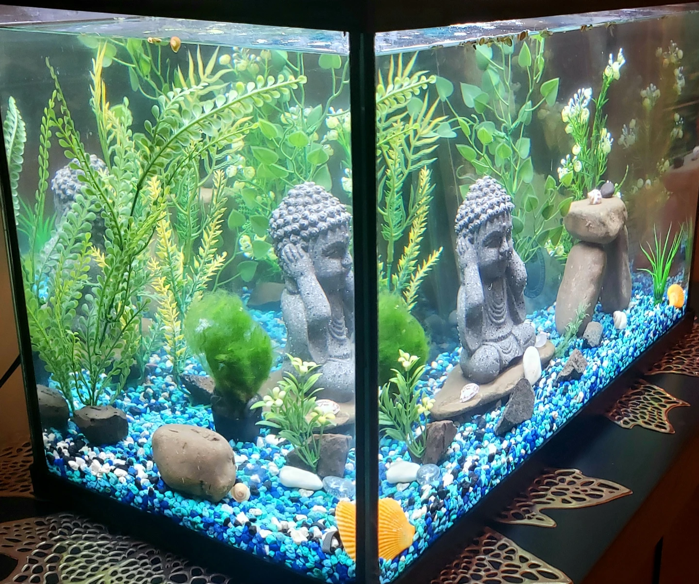 Aquarium 10 Gal COMPLETE SETUP - photo 2