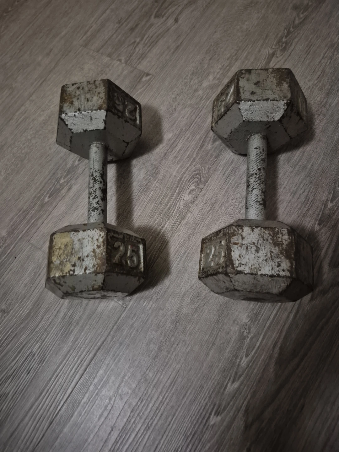 Pair of 25 lb Hex Dumbbells