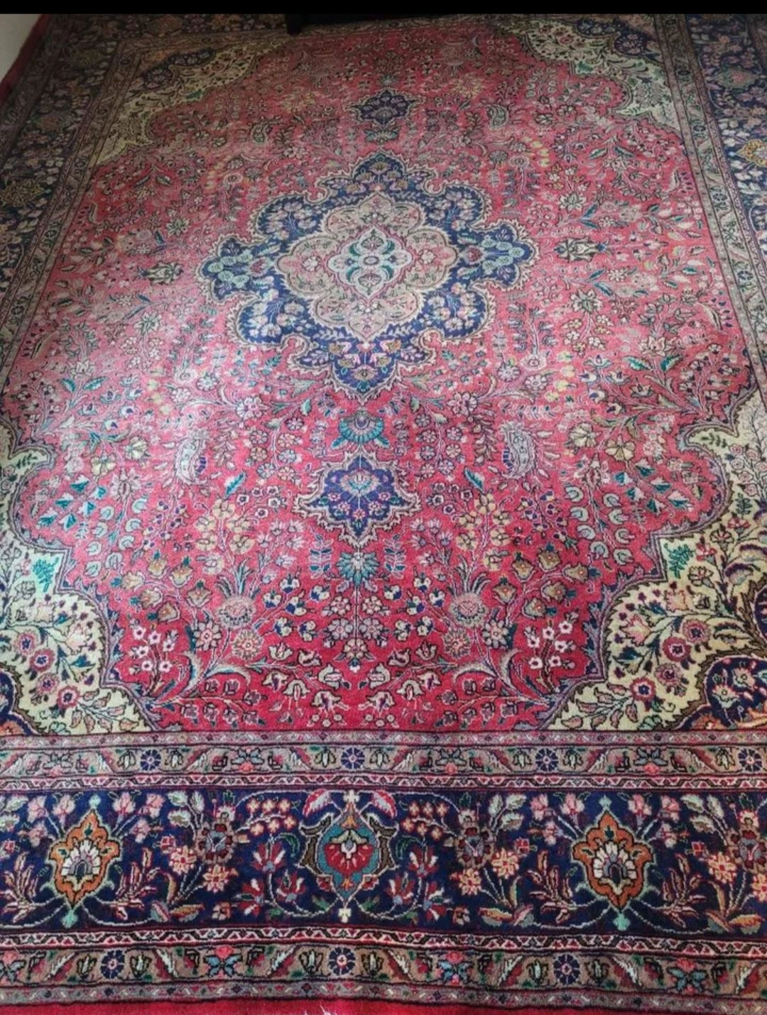 Large Persian-Style Area Rug - photo 2