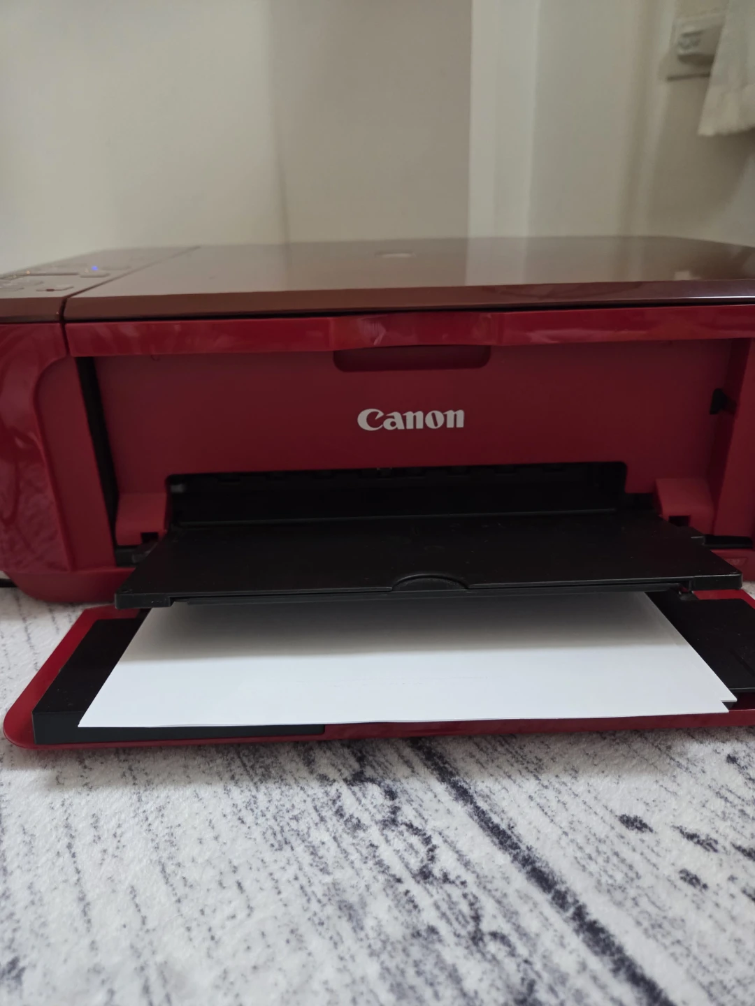 Canon Printer - photo 2