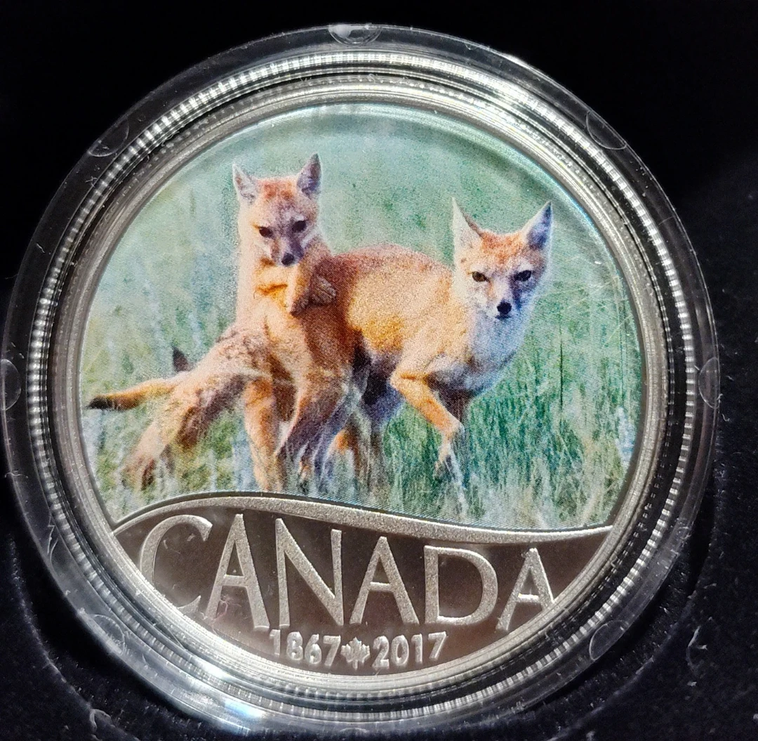 2017 Royal Canadian Mint $10 Fine Silver Coin - photo 2