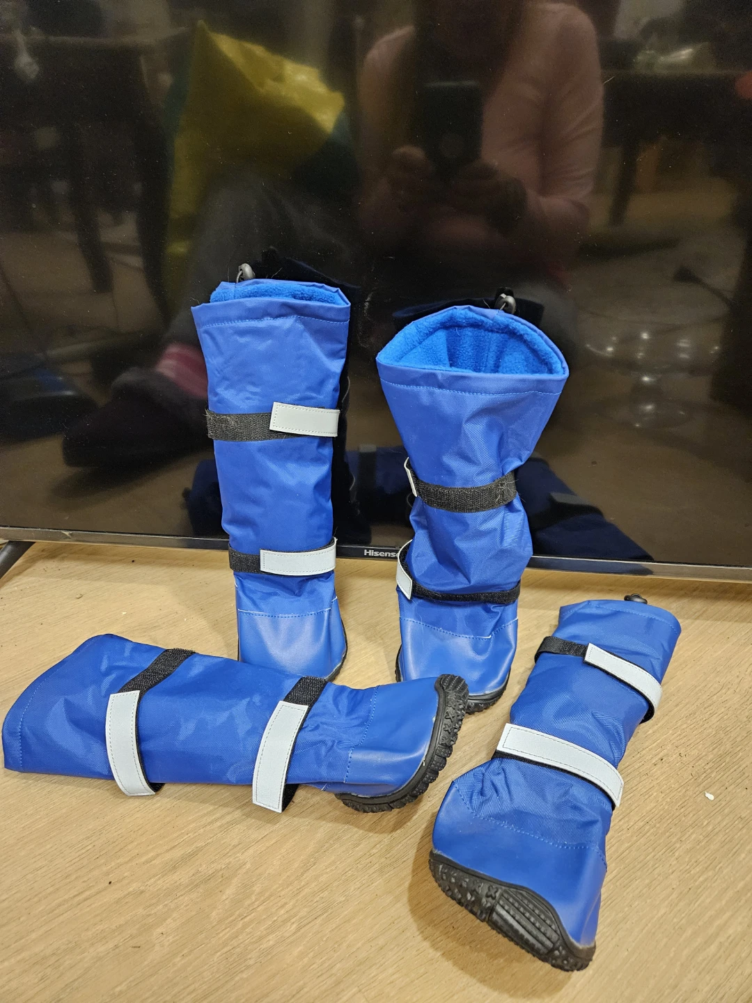 Set of four blue dog boots - photo 3