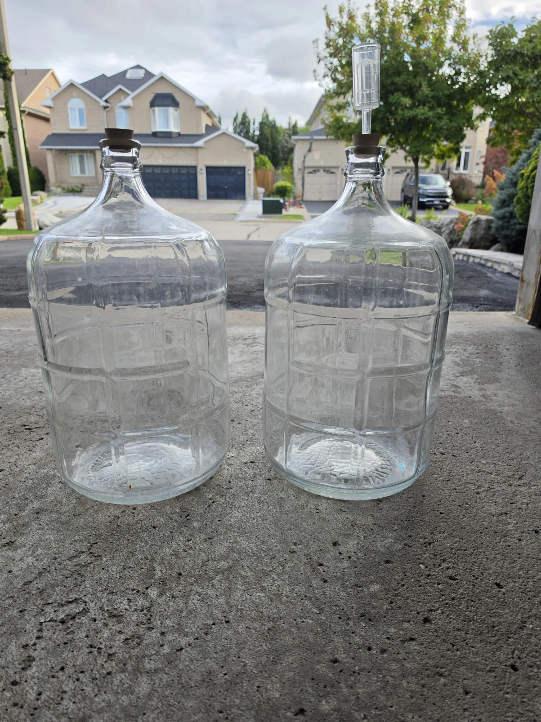 Two 1 Gallon Glass Carboys