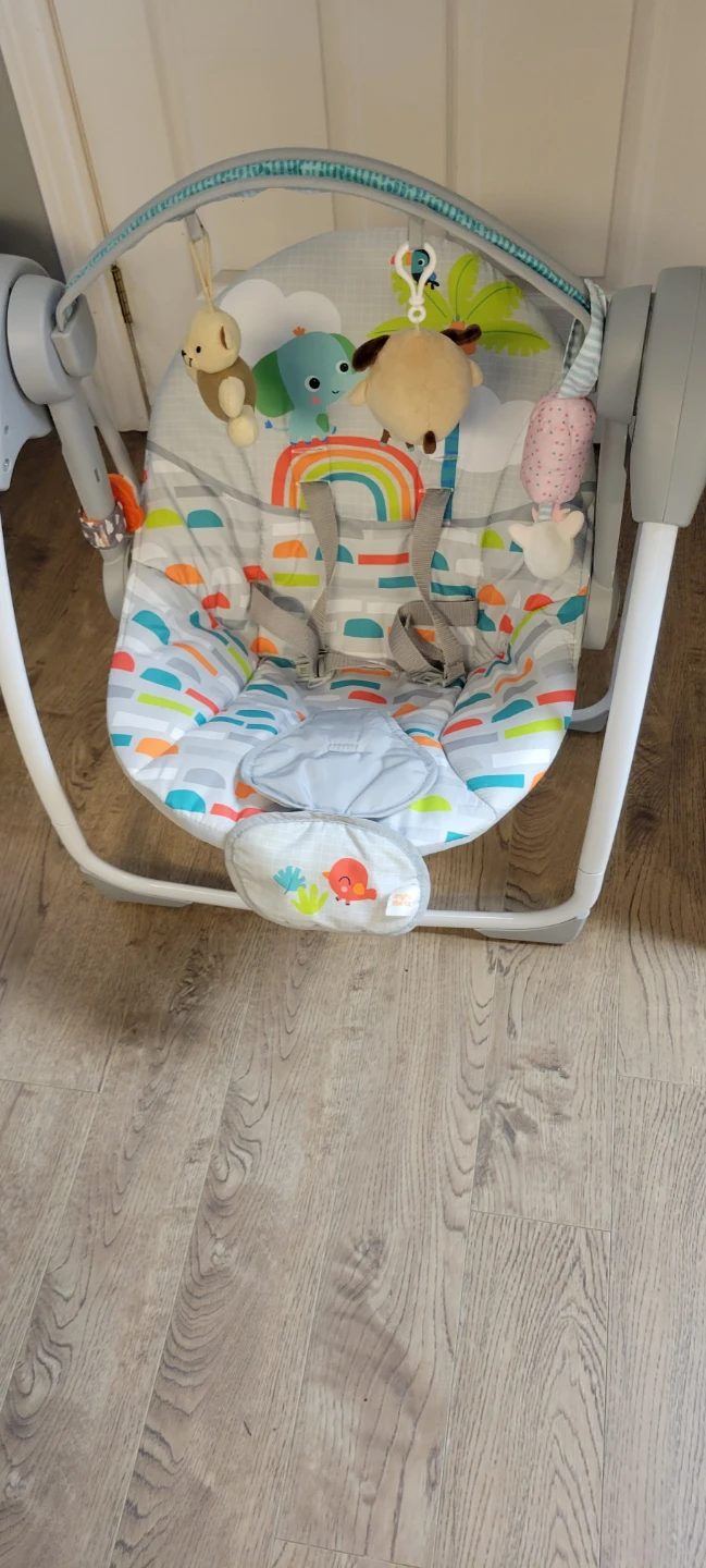 Bright Starts Baby Bouncer Seat