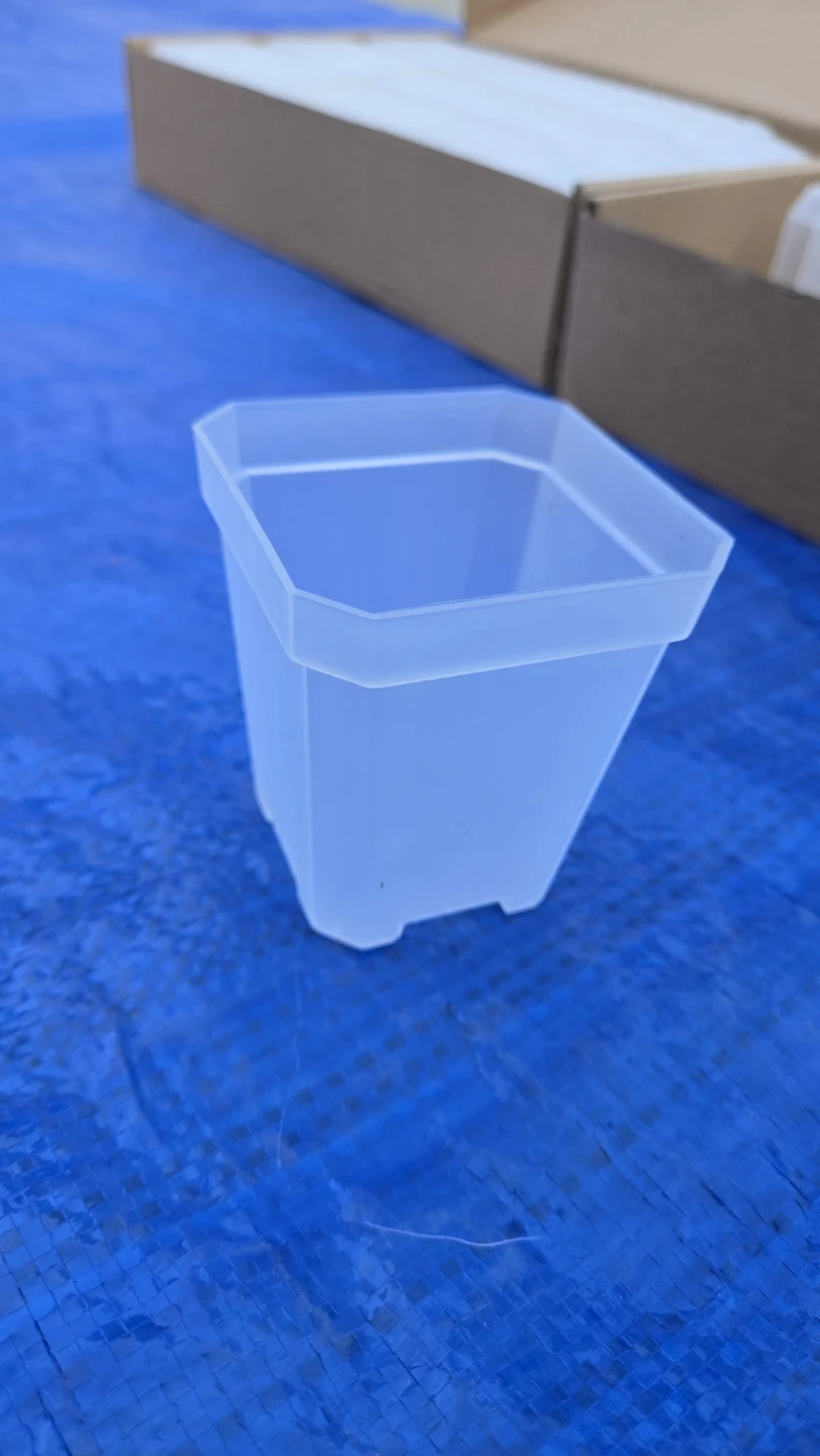 Set of 120 Clear Plastic Plant Pots - photo 2