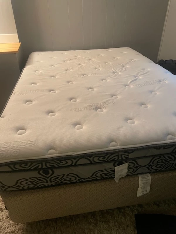 Twin Organic Cotton Mattress and Box Spring Set