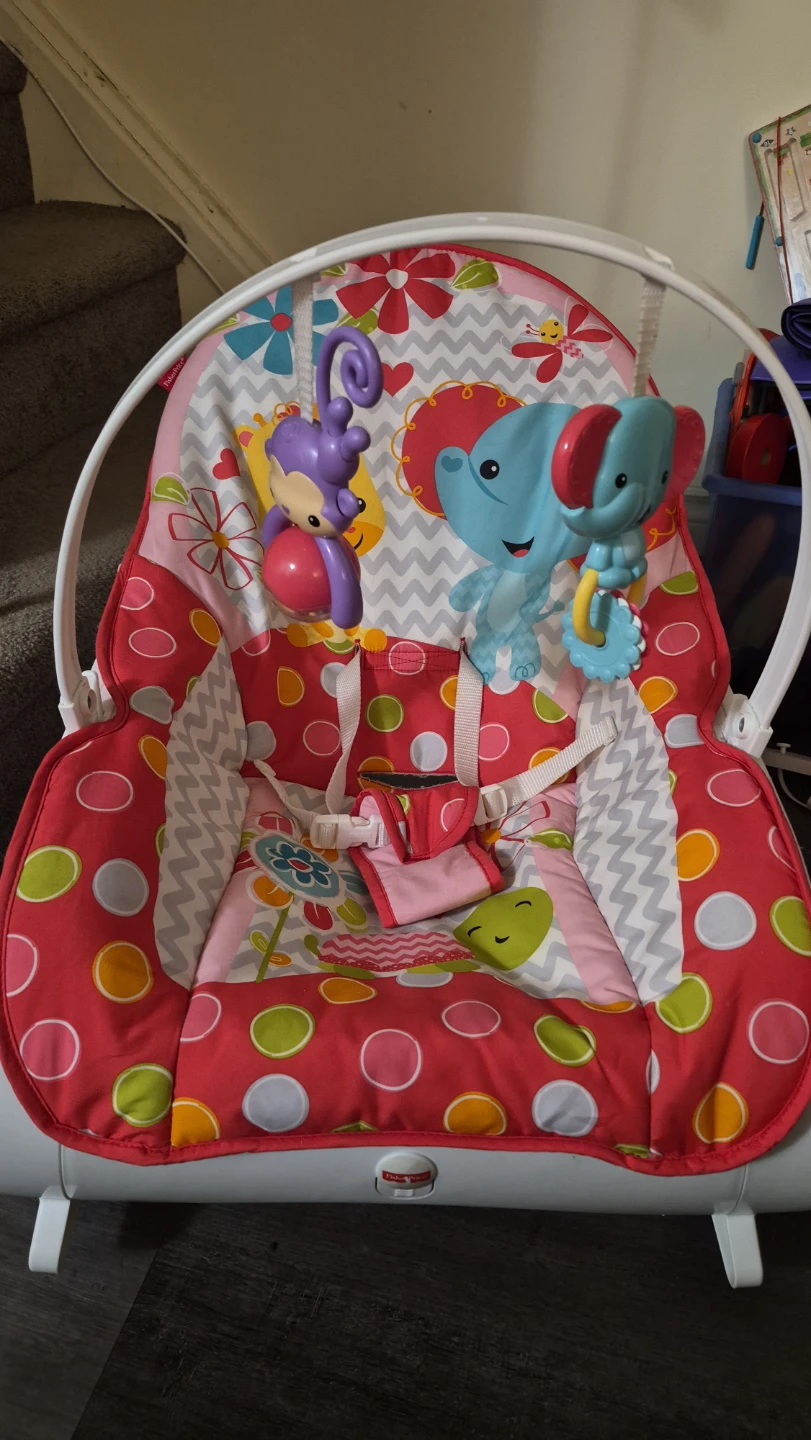 Fisher-Price Infant-to-Toddler Rocker
