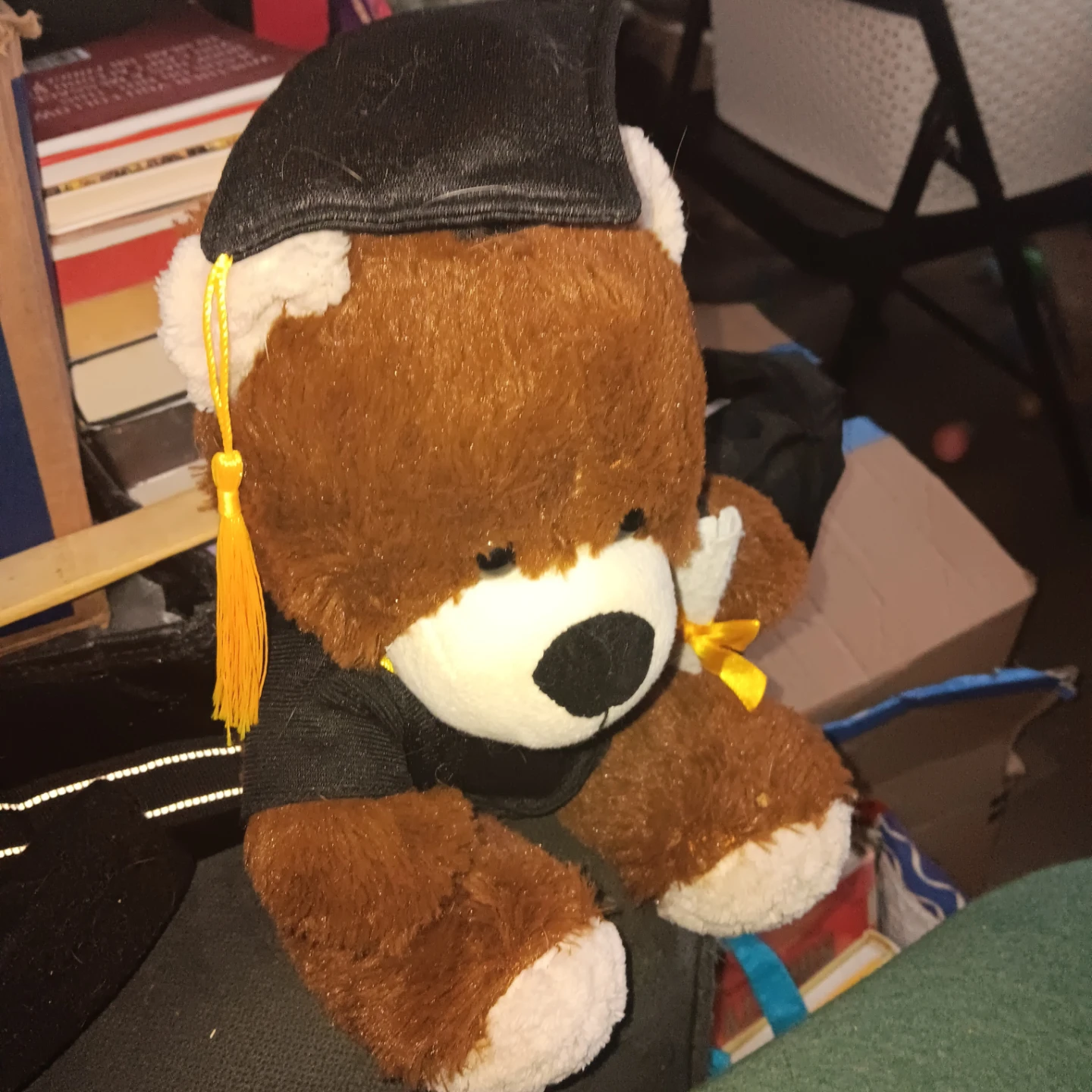 Graduation Teddy Bear Plush - photo 2