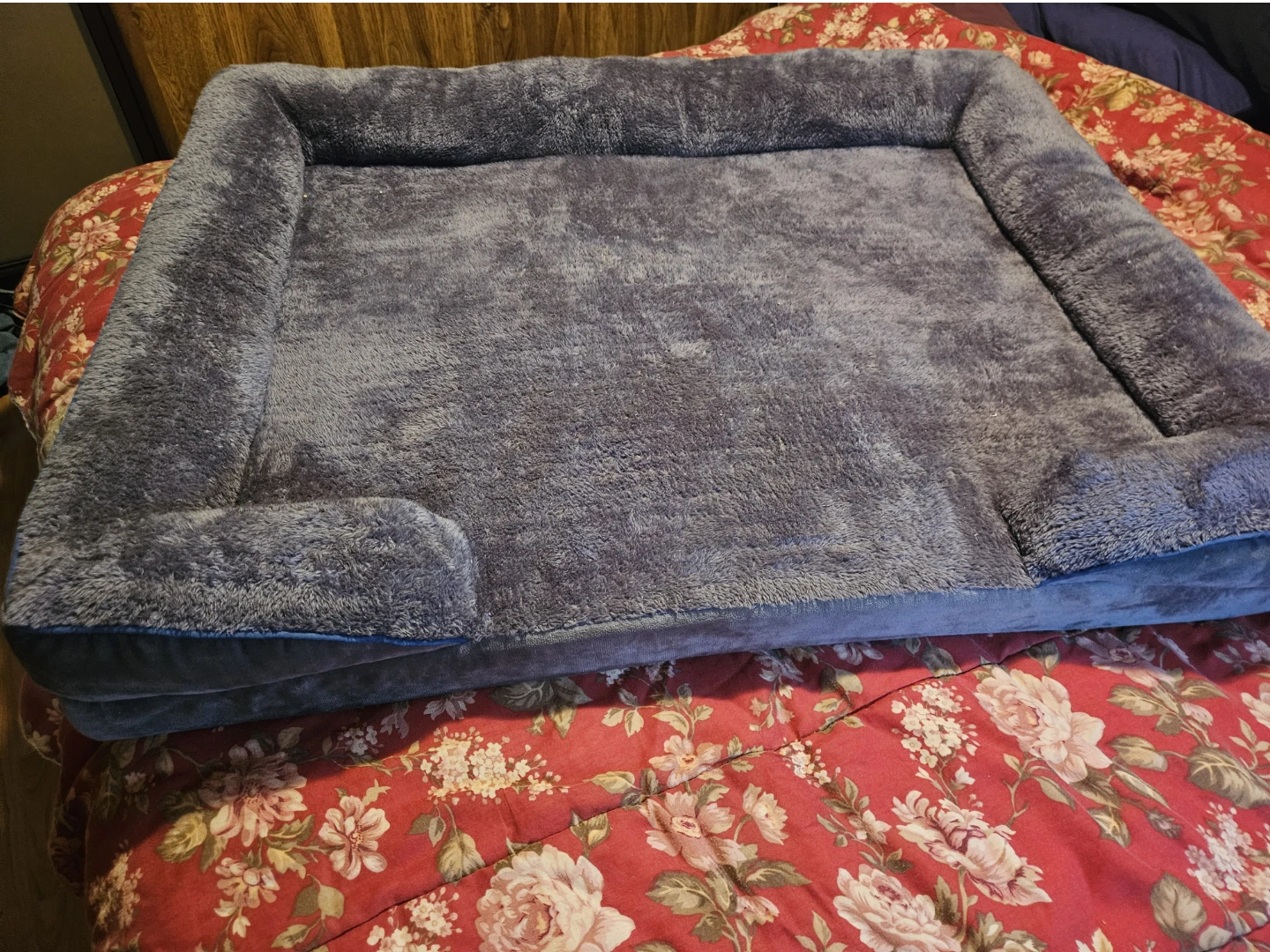 Dog Bed