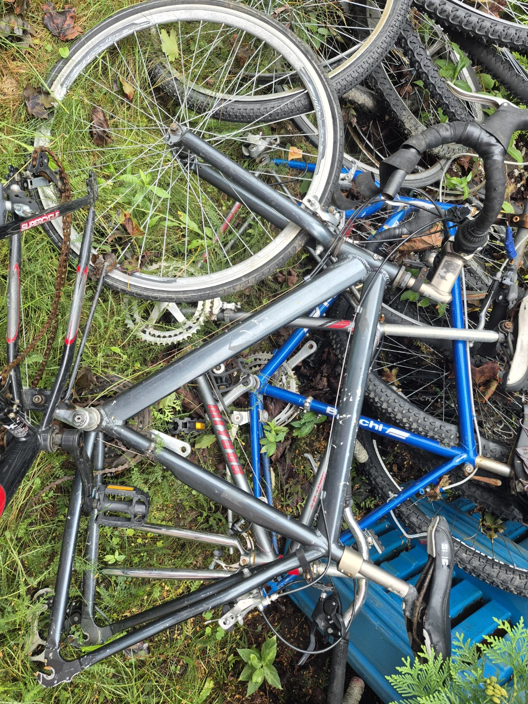 Assorted Bicycle Wheels and Frames - photo 5