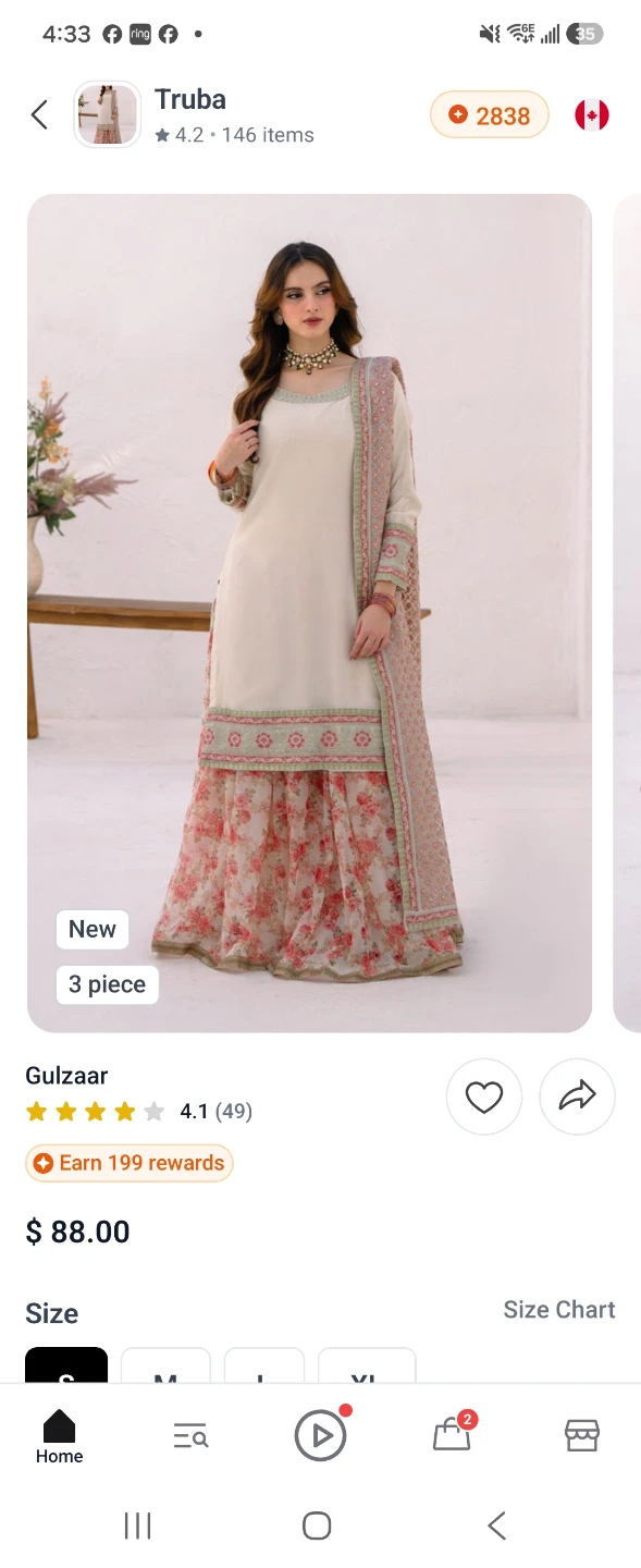 Pakistani dress