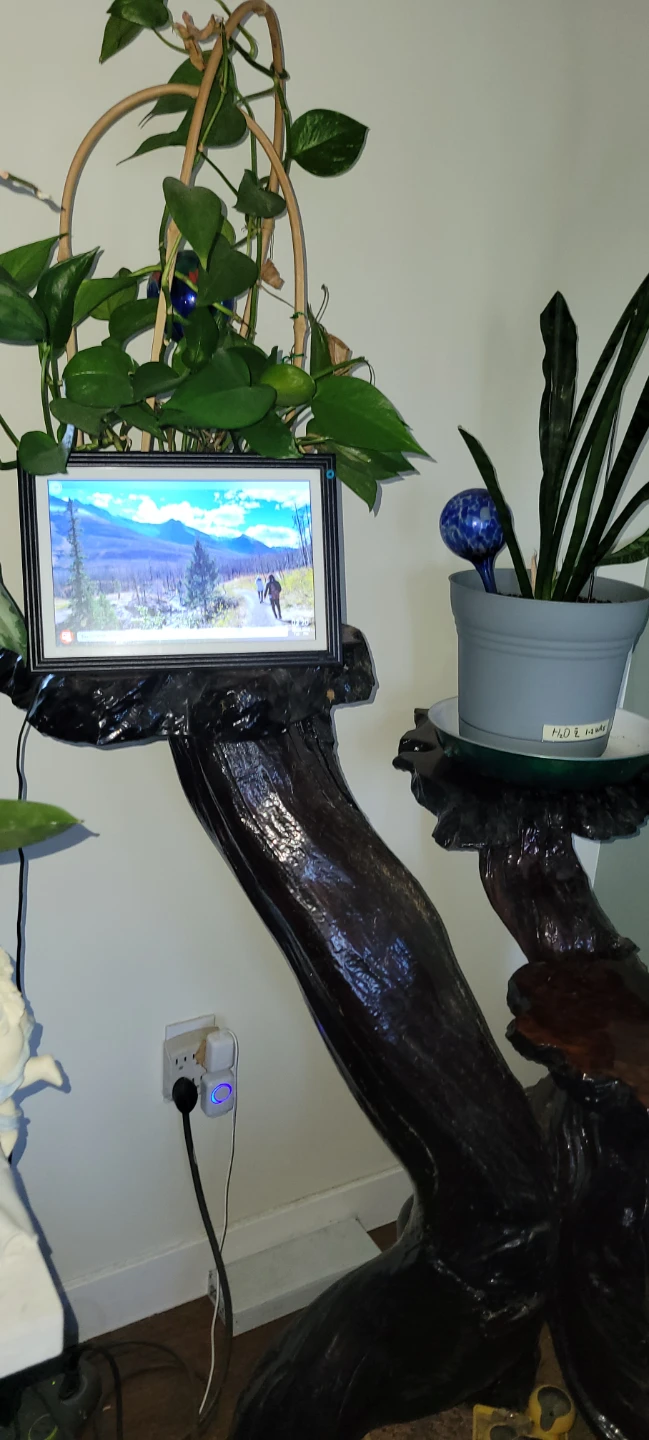 Rustic Live Edge California Red Wood Plant Stand - photo 3
