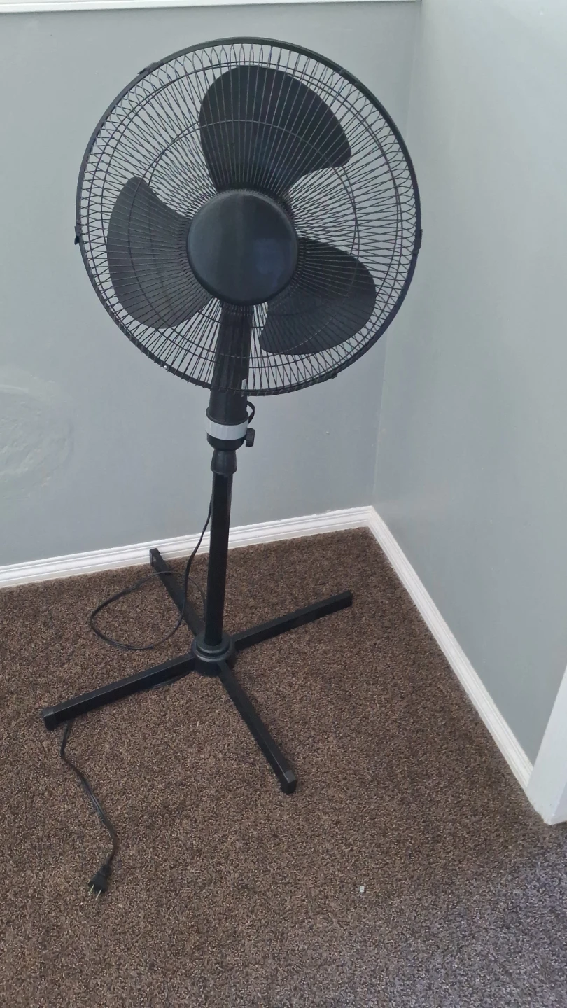 Black Pedestal Fan