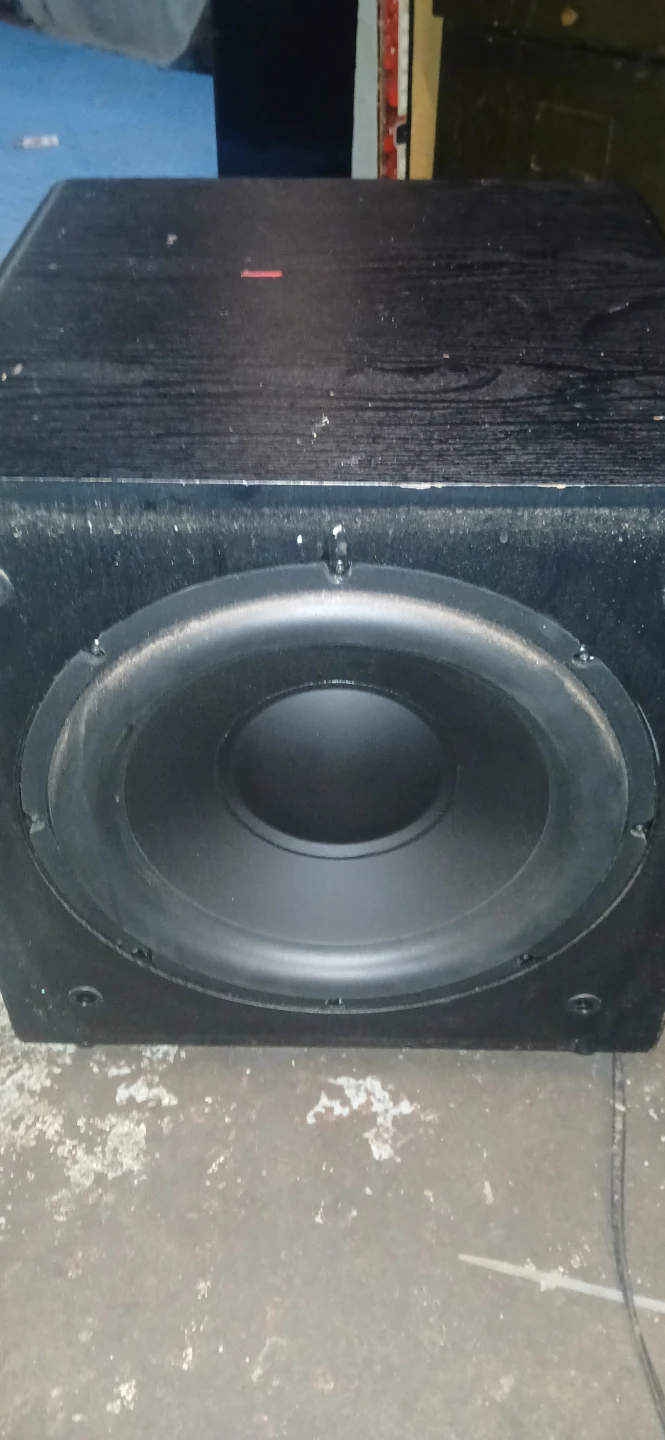 Sunfire SDS12 Dynamic Series Subwoofer - photo 4