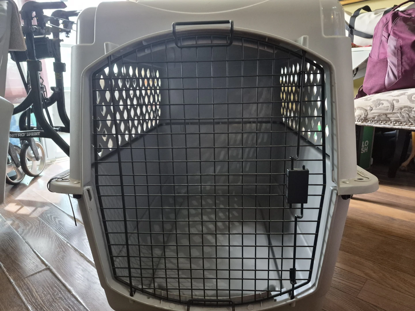 Classic karge dog kennel