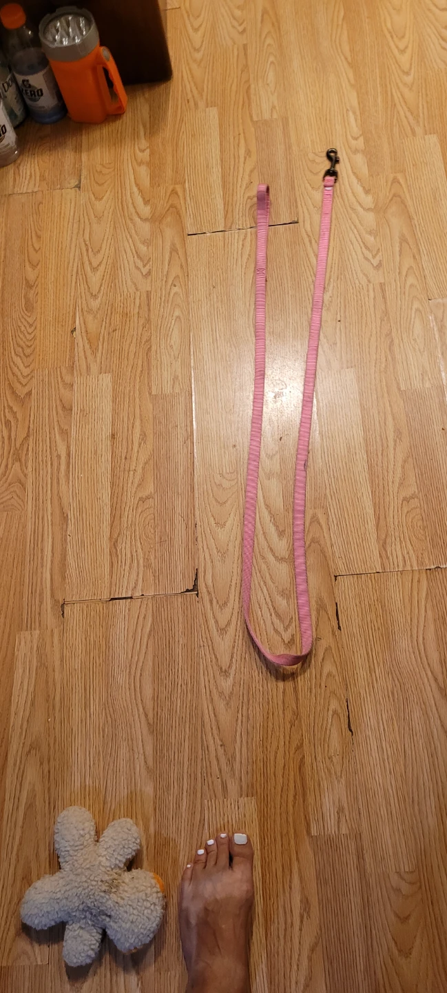 Pink dog leash 6 feet - photo 2