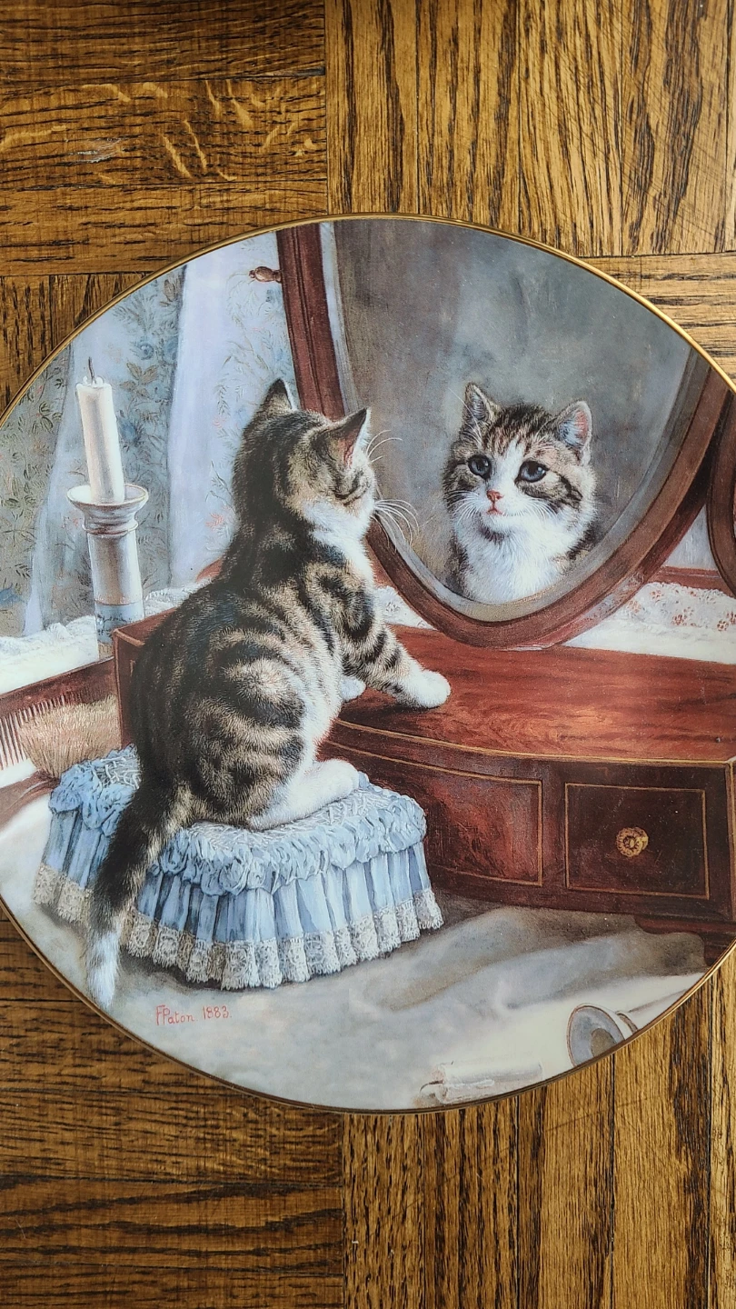 Set of 5  Collectible Cat Plates ($5 each or $20 for all)