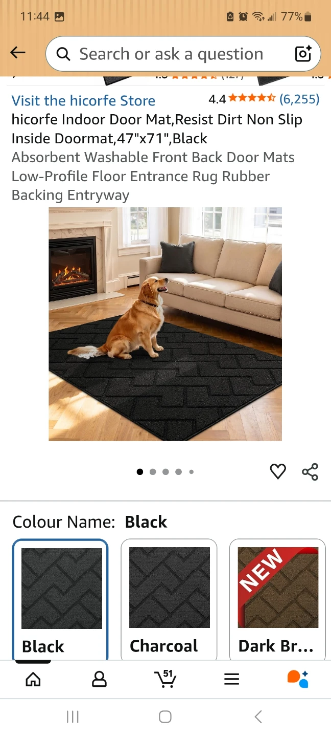hicorfe Indoor Door Mat Black 47x71 - photo 4