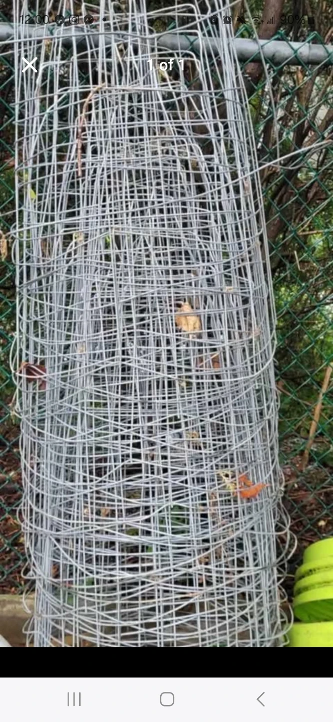 Metal Tomato Cage Supports each 5$