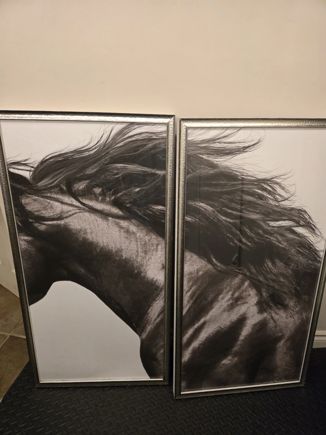 Set of Two Horse Wall Art Prints