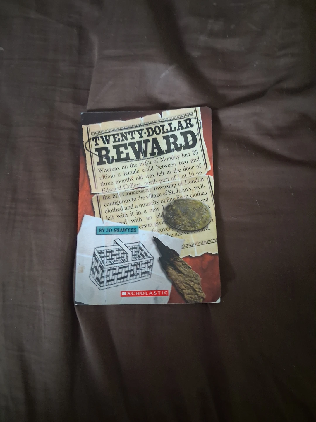 Twenty-Dollar Reward by Jo Shawyer (Scholastic)