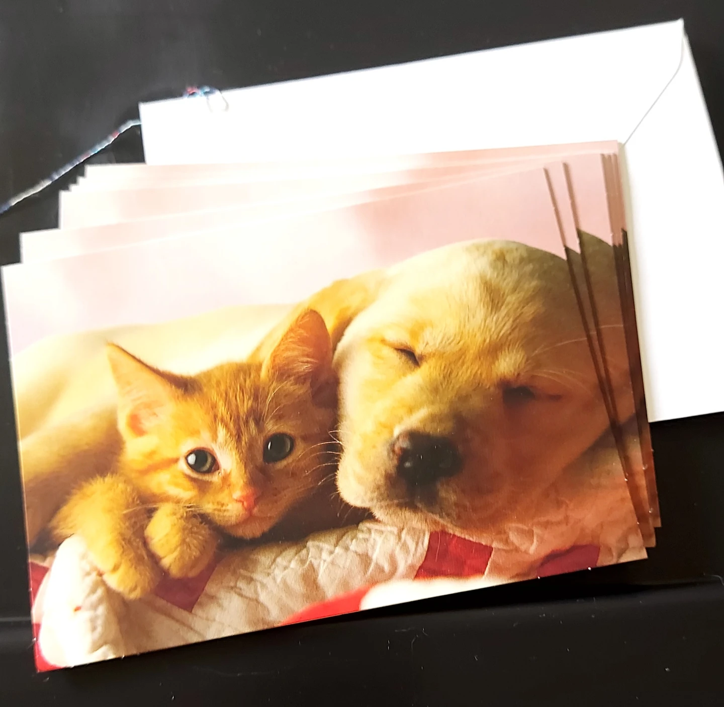 Assorted Blank Greeting Cards