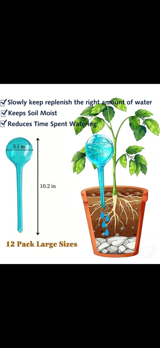 12 Pack Large Plant Self Watering Globes
