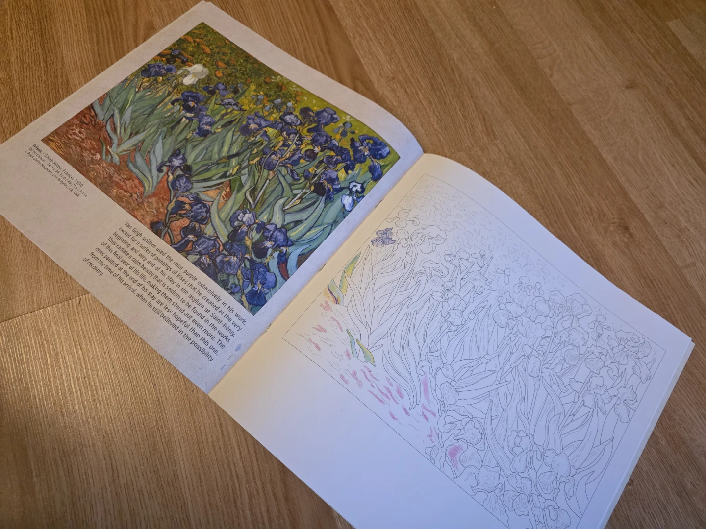 Van Gogh Colouring Book - photo 3