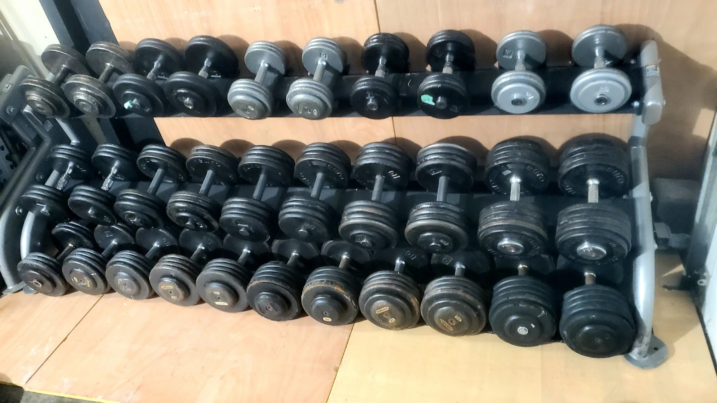Pro-Style Dumbbell Set with Tuff Stuff Commercial Storage Rack - photo 3