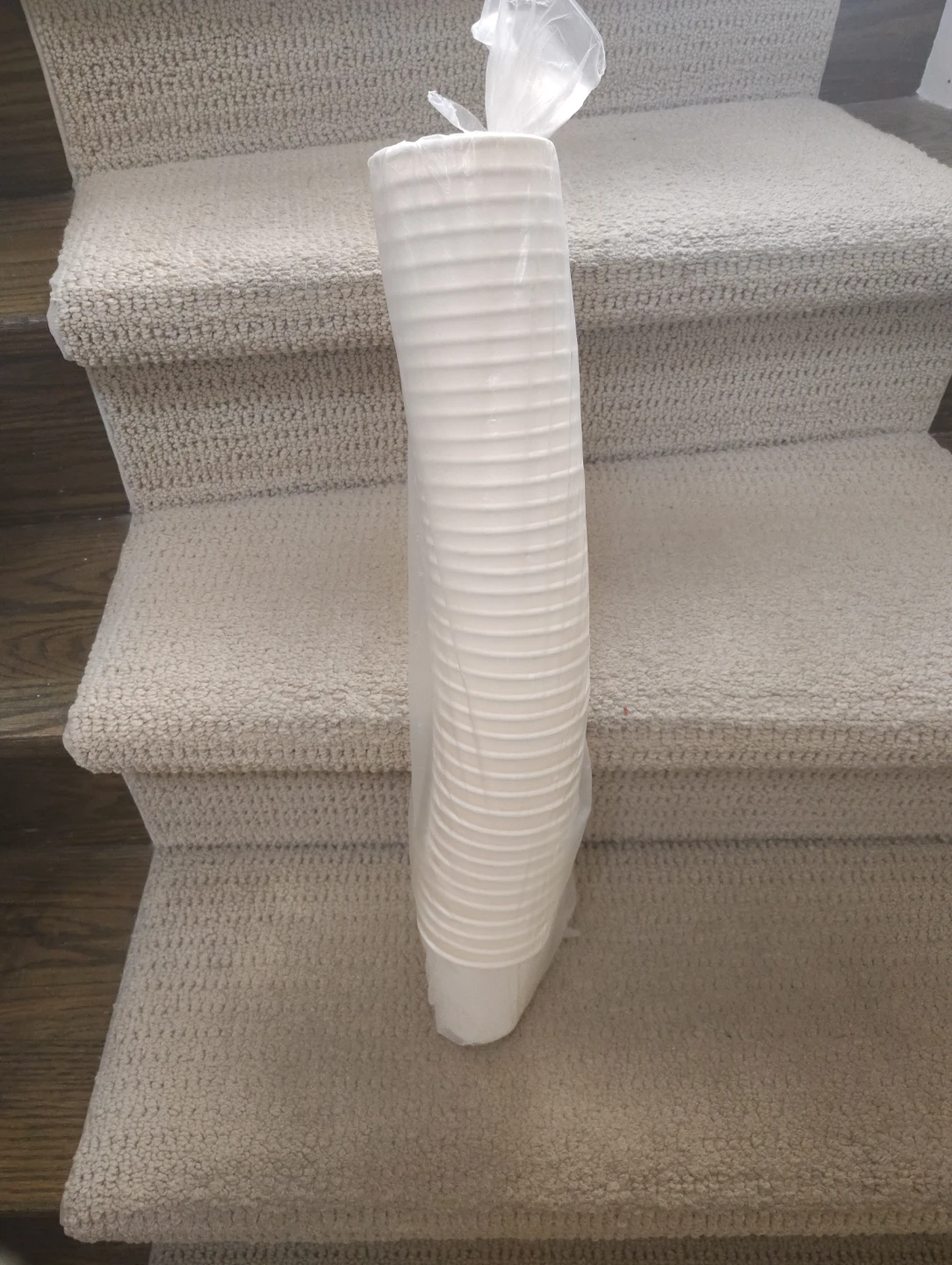 White Disposable Paper Cups