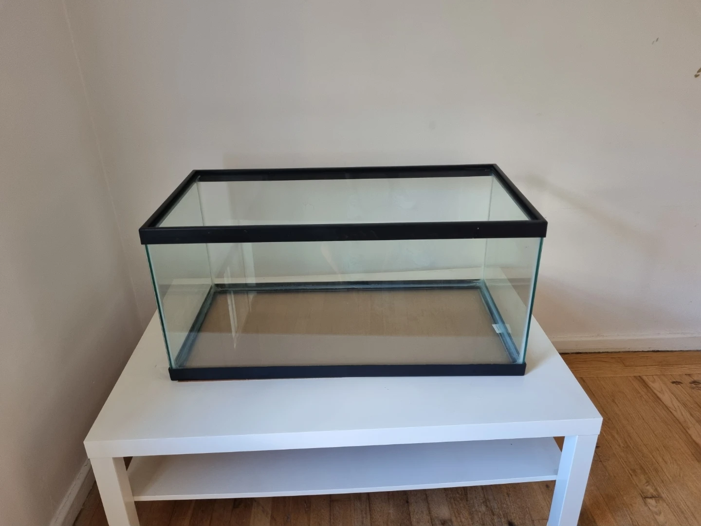 40 Gallon Tank for Reptiles, Gerbils, Hamster