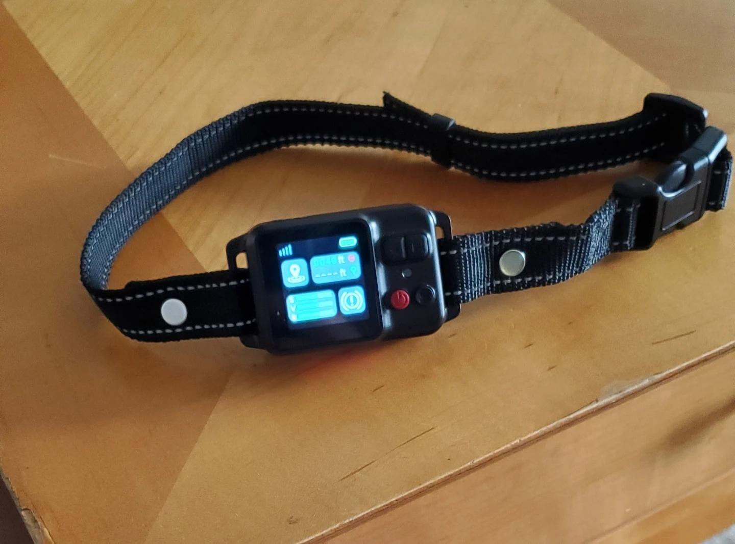 GPS TRACKING DOG COLLAR 5V New