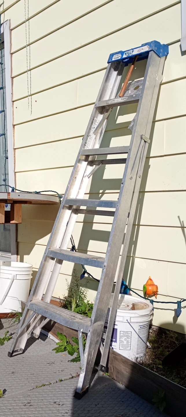 Ladder On Sale