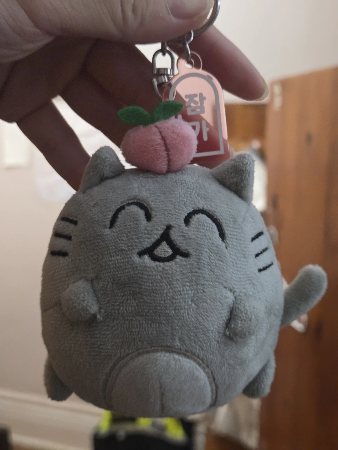 Seventeen Jun Keychain