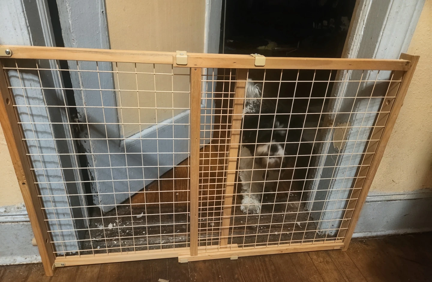 Adjustable Wooden Pet Safety Gate – Mesh Wire Grid