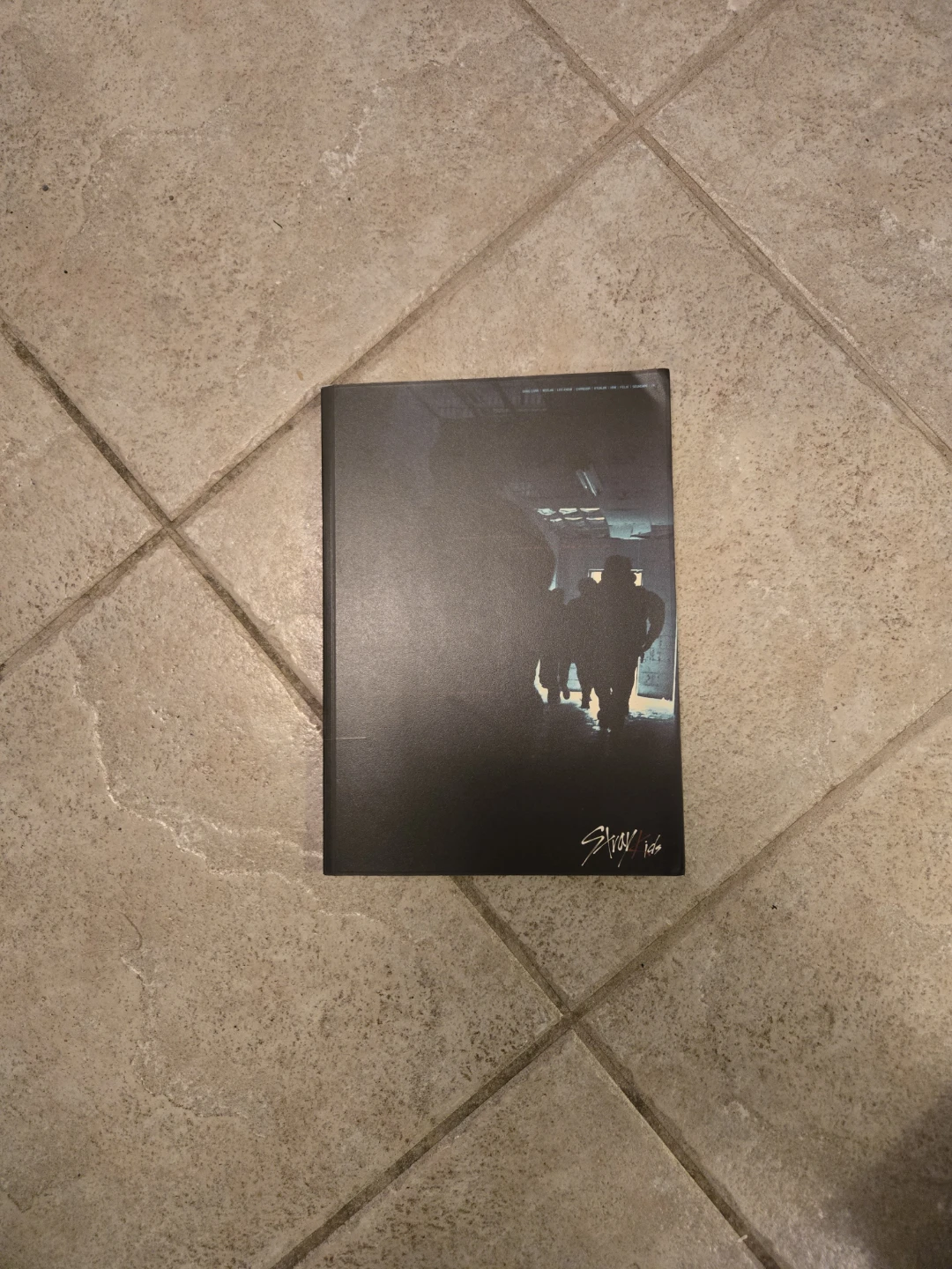 Stray Kids Photobook