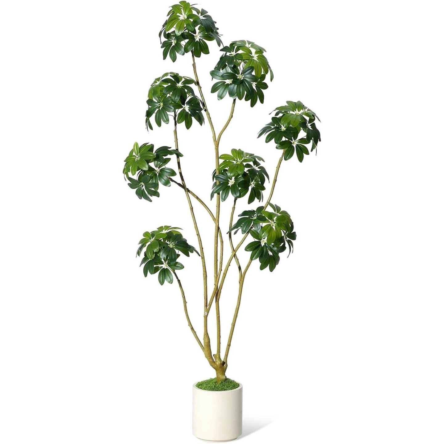 Artificial Schefflera Plant with Pot