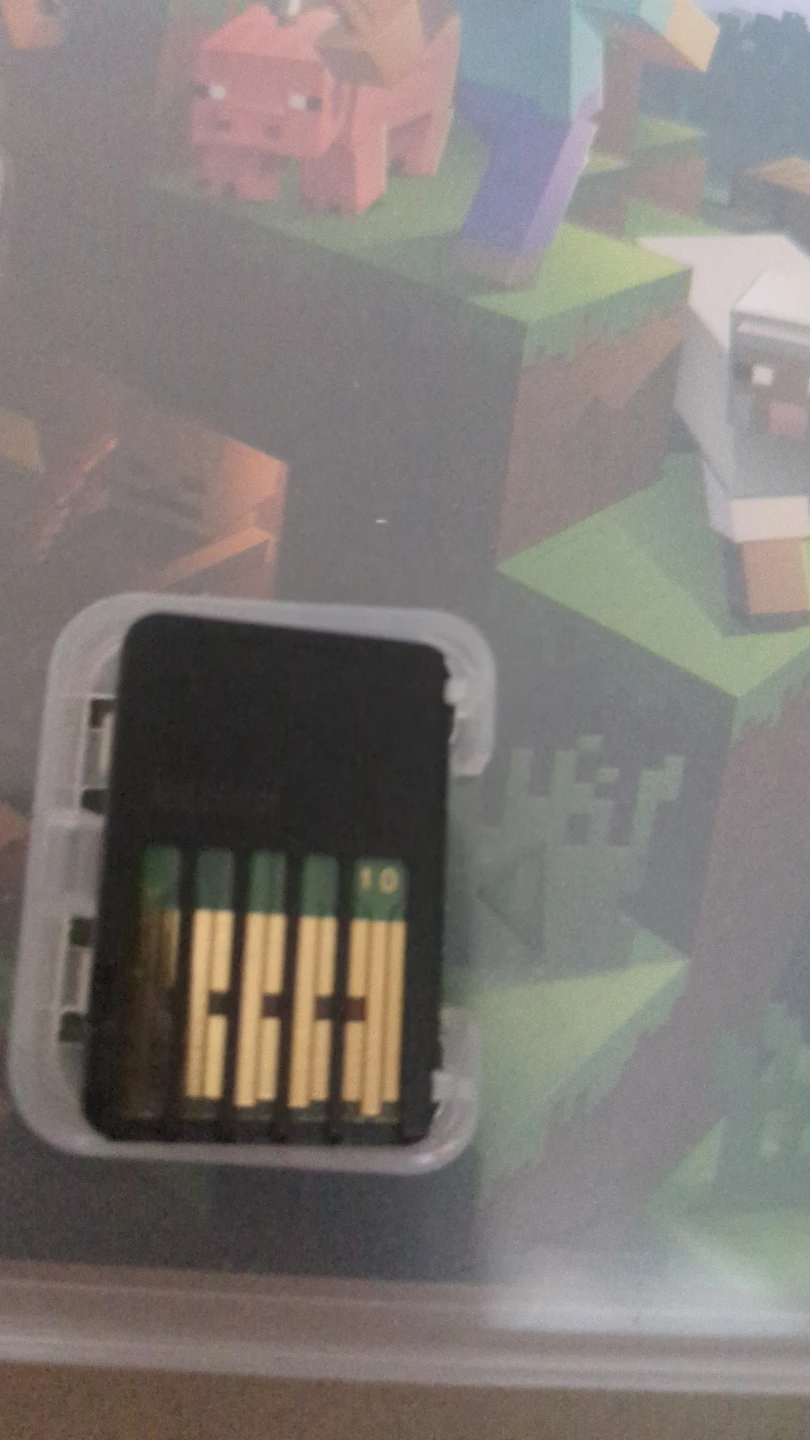 Minecraft for Nintendo Switch - photo 4