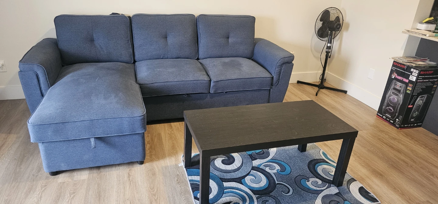 Blue Fabric Sectional Sofa Bed with Storage - photo 4