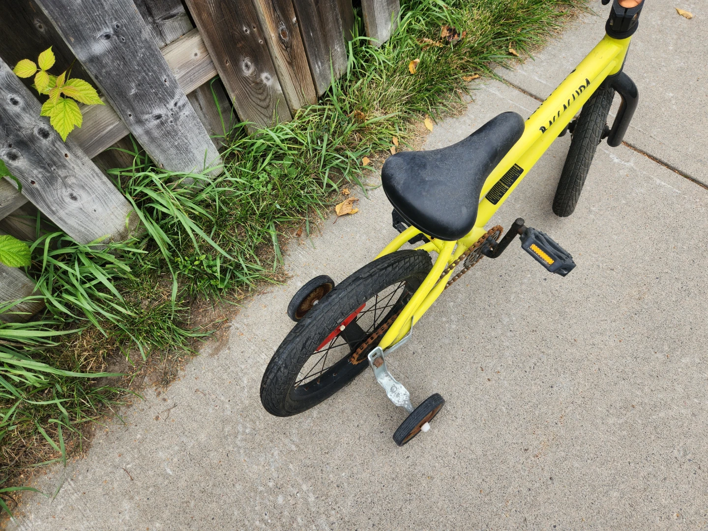 Baccacuda Kids Bike with Training Wheels - photo 3
