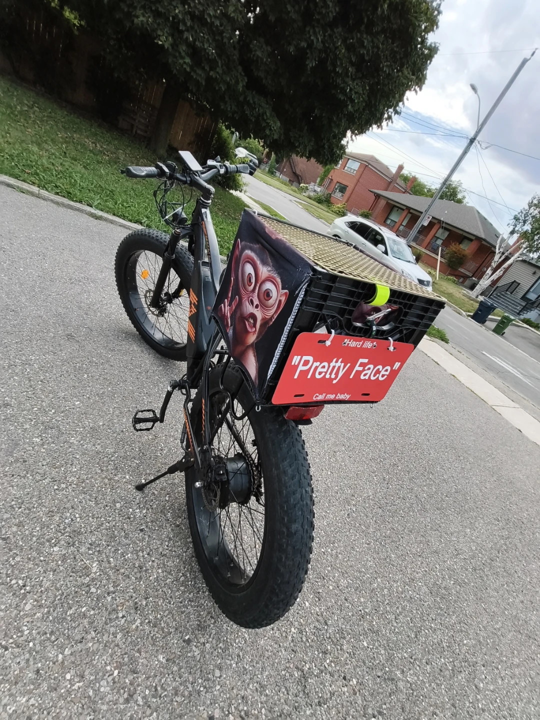 ZDZA Fat Tire Electric Bike - photo 2