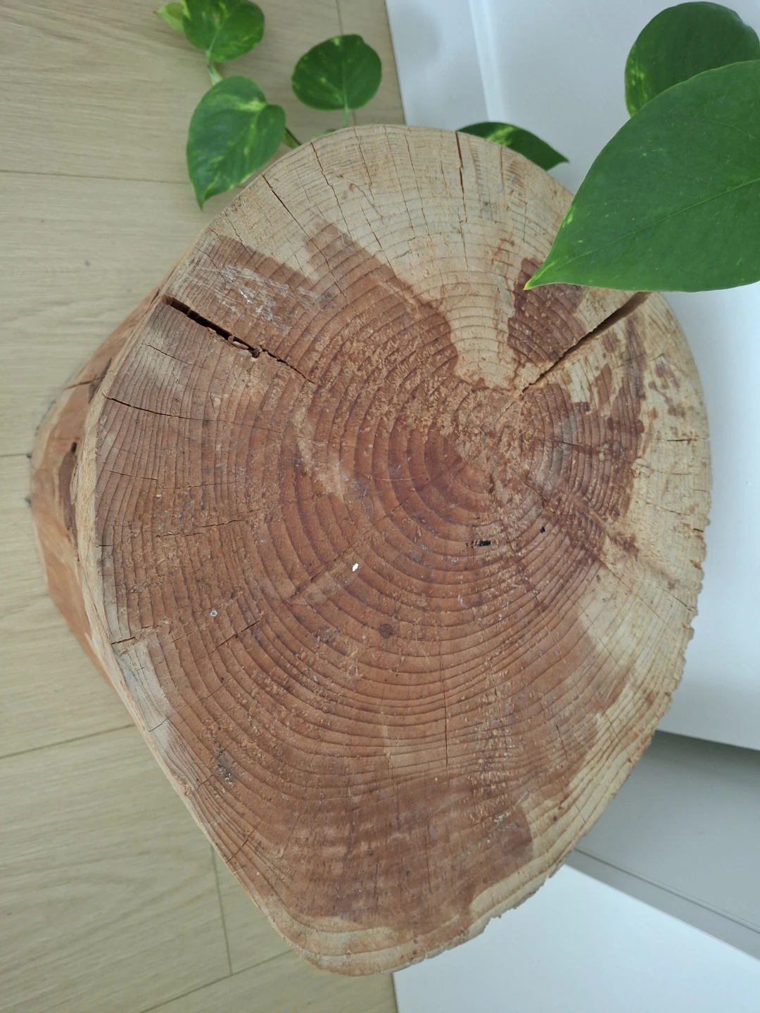 Natural Wood Log Side Table - photo 4