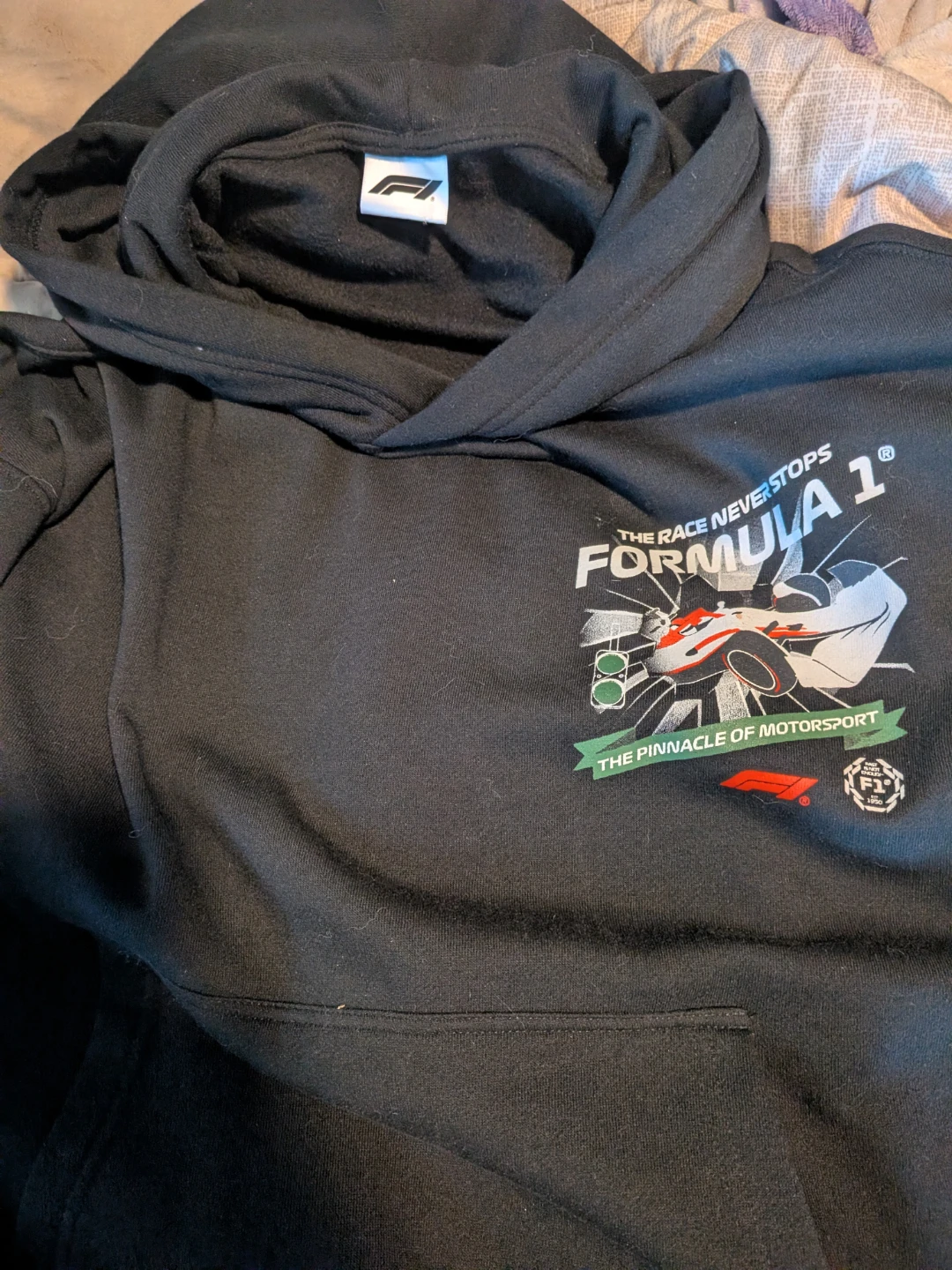 Formula 1 Black Graphic Hoodie - photo 3