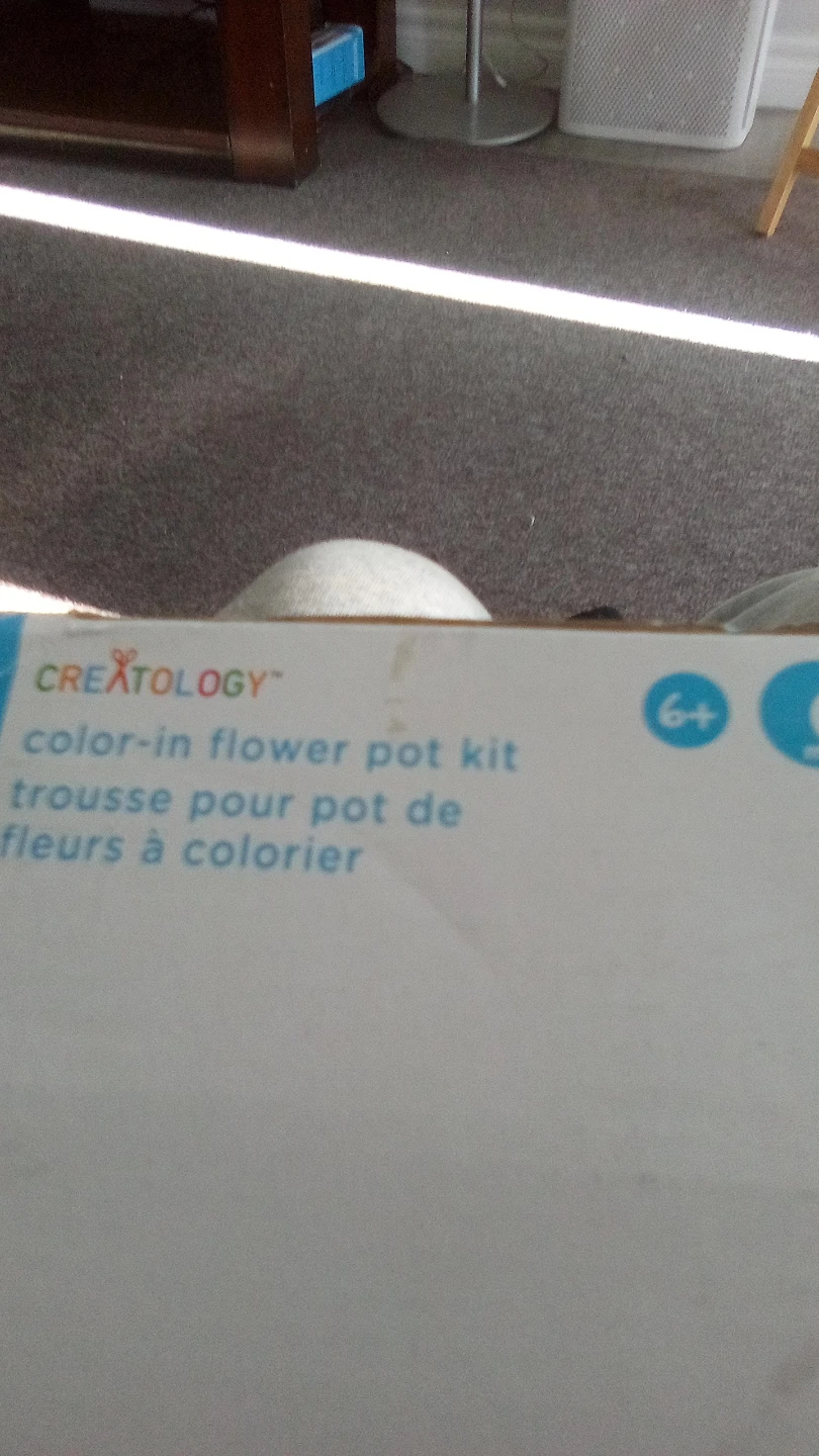 Creatology Color-In Flower Pot Kit - photo 4