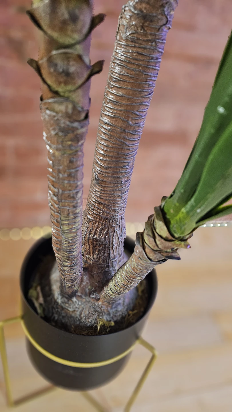 Artificial Yucca Plant with Metal Stand - photo 4