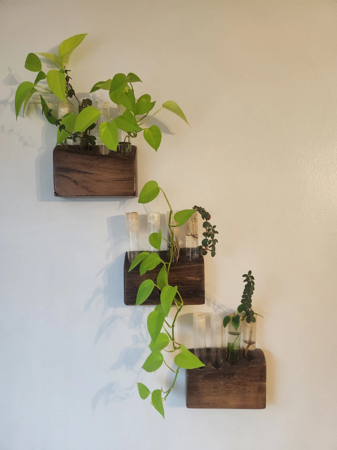 Wall-mounted wood propagation stations