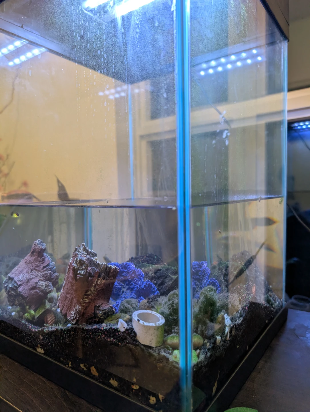 Top Fin 10 Aquarium 10 Gallons - photo 3