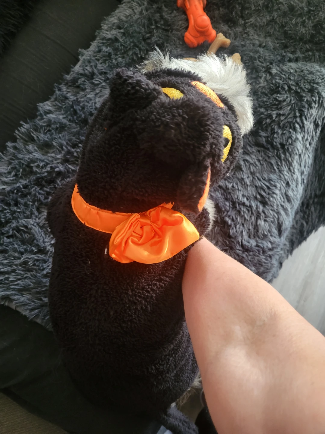 Pet Costume (Medium) - photo 4