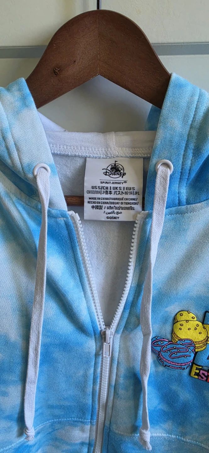 Disney Spirit Jersey Full-Zip Hoodie Blue - photo 4
