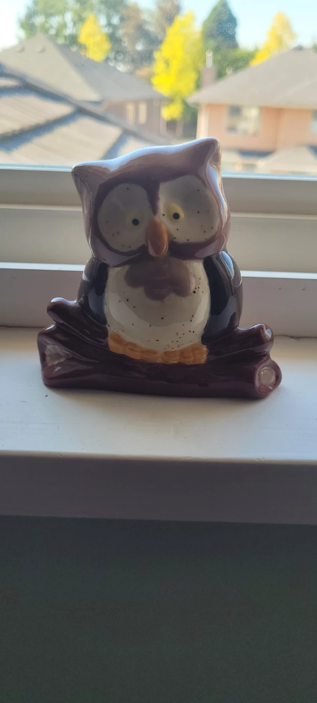 Ceramic Owl Figurine 🏈